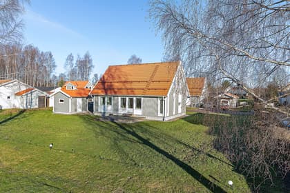 Bild av trädgården