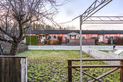 Bild av trädgården