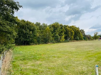 Bild av trädgården