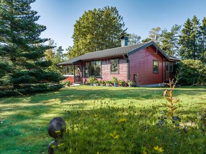 Bild av trädgården