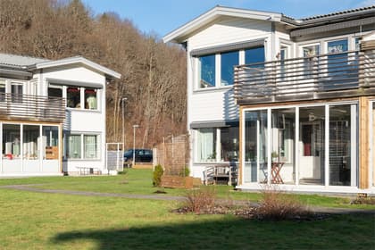 Bild av trädgården