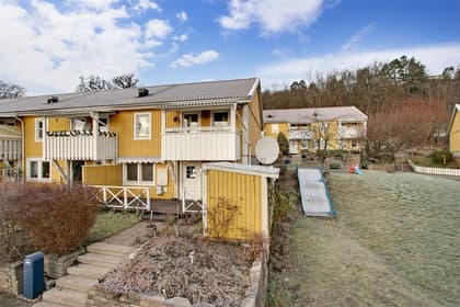 Bild av trädgården