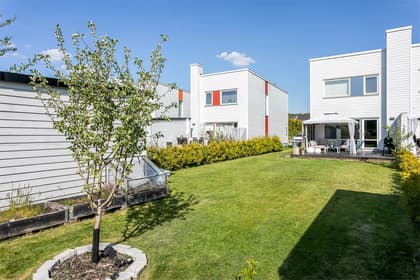 Bild av trädgården