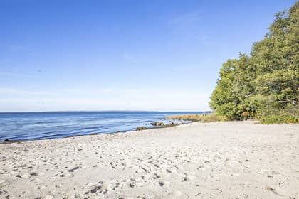 Bild av närområdet