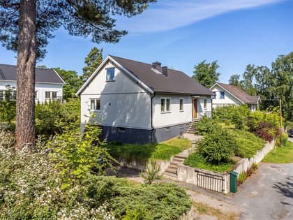 Bild av trädgården