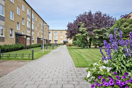 Innergård