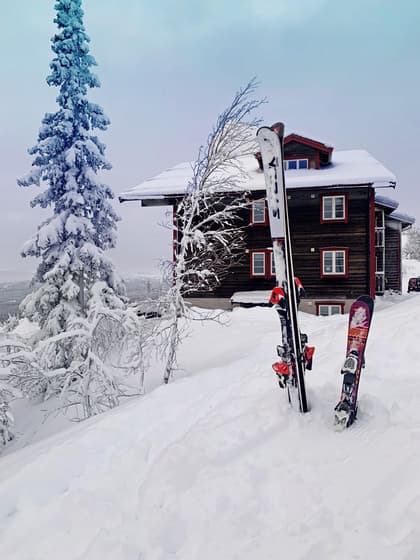 Bild av trädgården