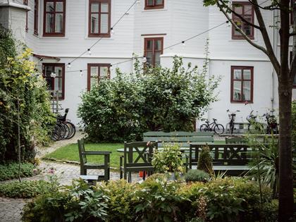 Bild av trädgården