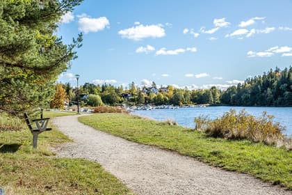 Bild av trädgården