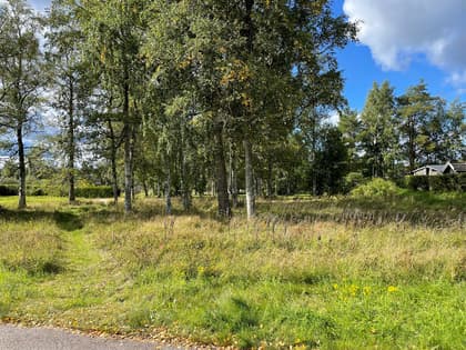 Bild av trädgården