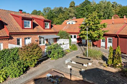 Bild av trädgården