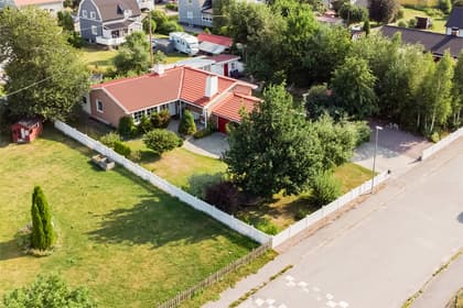 Bild av trädgården