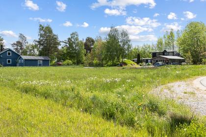 Bild av trädgården