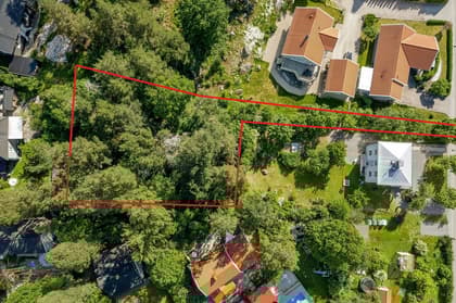 Bild av trädgården