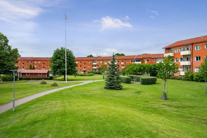 Bild av trädgården