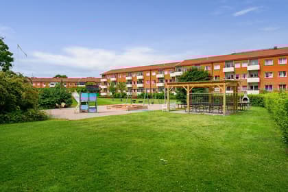 Bild av trädgården