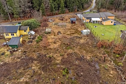 Bild av trädgården