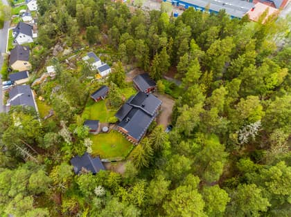 Bild av trädgården