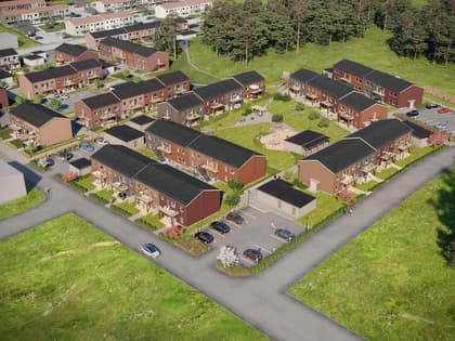 Bild av trädgården