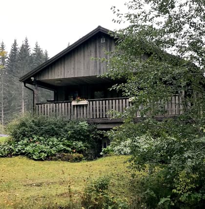 Bild av trädgården