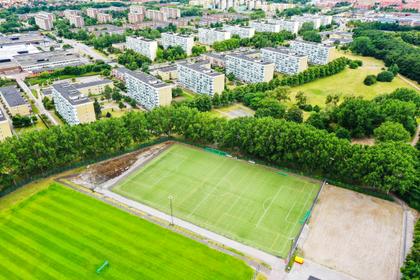 Bild av trädgården