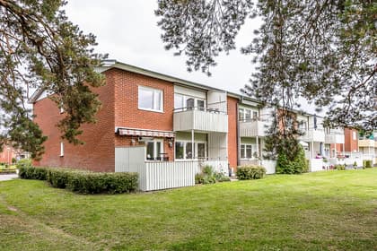 Bild av trädgården