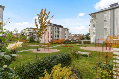 Bild av trädgården