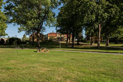 Bild av trädgården