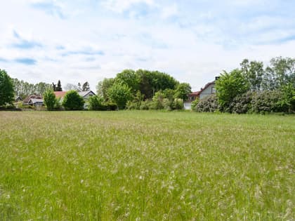 Bild av trädgården