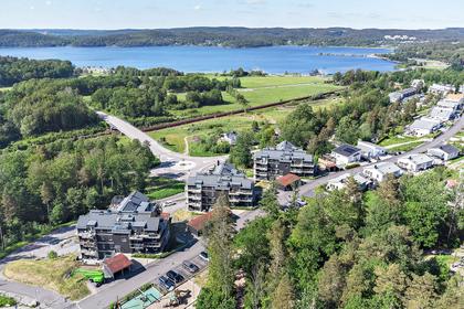Bild av trädgården