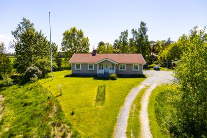 Bild av trädgården