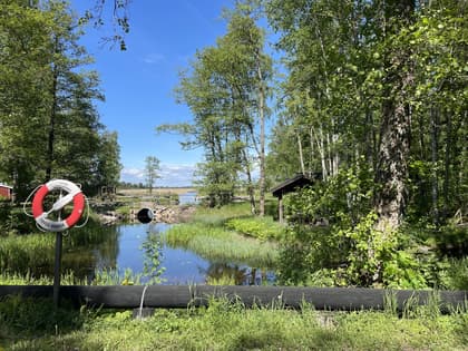 Bild av trädgården