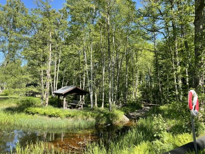 Bild av trädgården