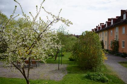Utsiktsbild