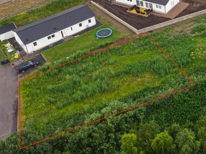 Bild av trädgården