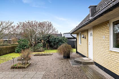 Bild av trädgården