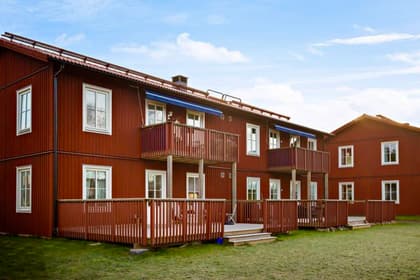 Bild av trädgården