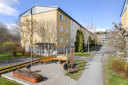 Bild av trädgården