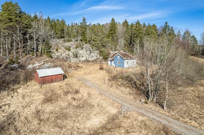 Bild av trädgården