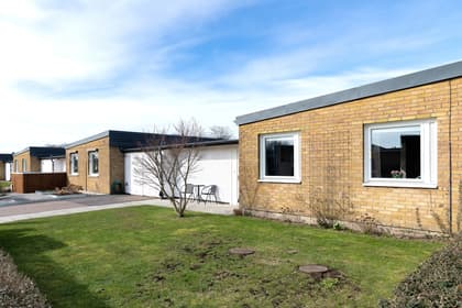 Bild av trädgården