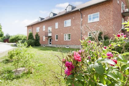 Bild av trädgården