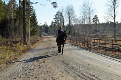 Julmyra 325, Julmyra