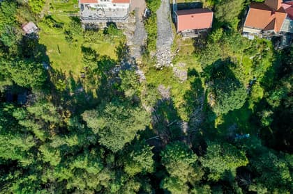 Bild av trädgården