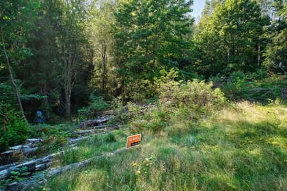 Bild av trädgården