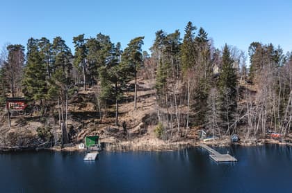 Bild av trädgården