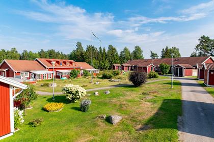 Bild av trädgården