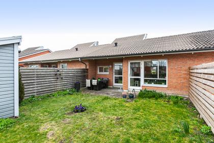 Bild av trädgården