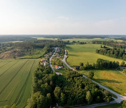 Bild av trädgården