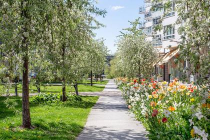 Bild av närområdet