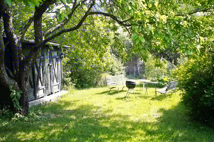 Bild av trädgården